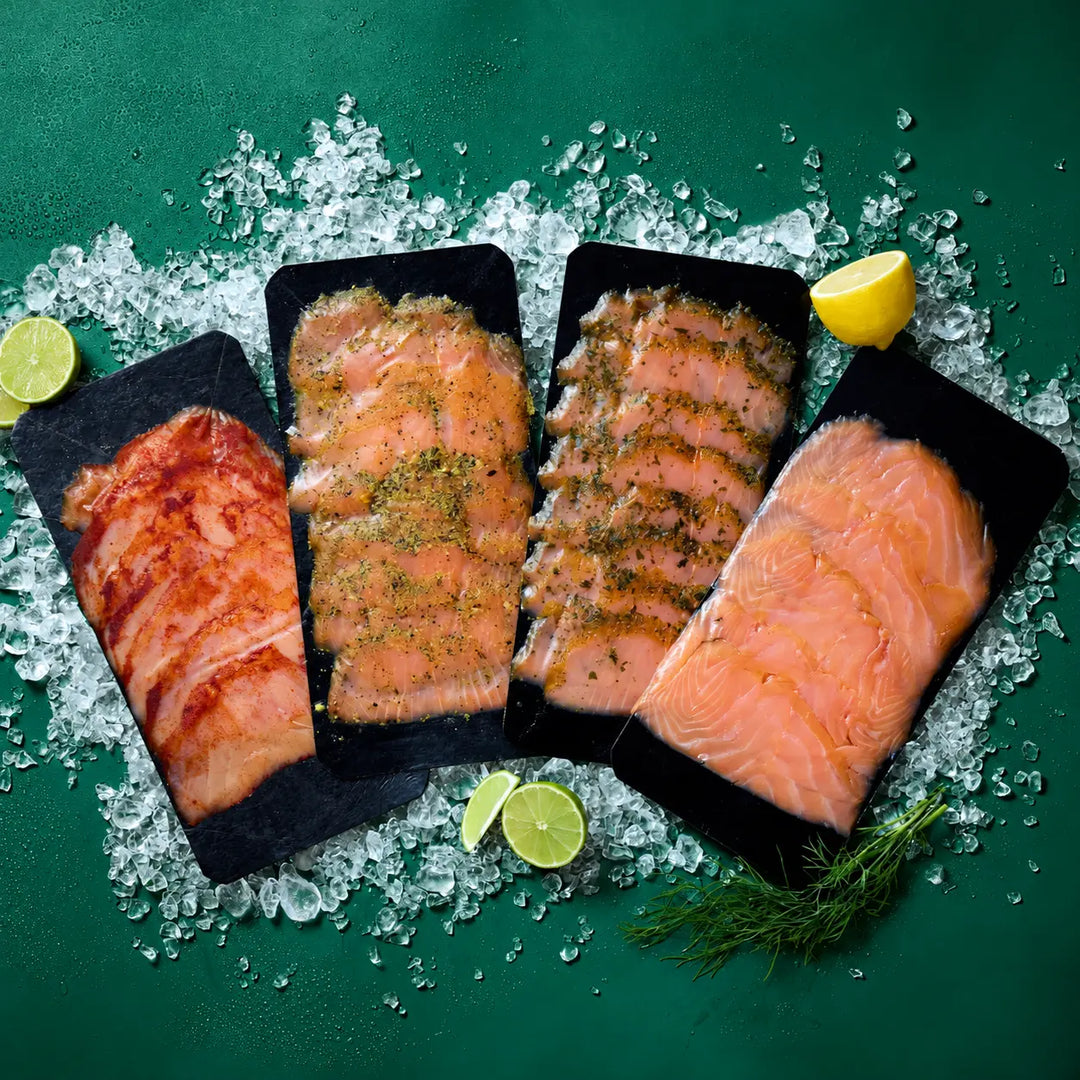 BluFood Landbased Salmon