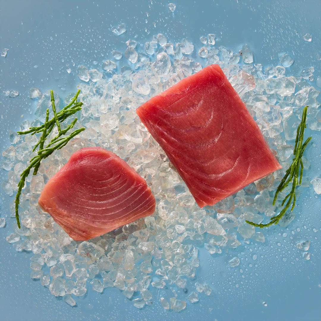 Thunfisch