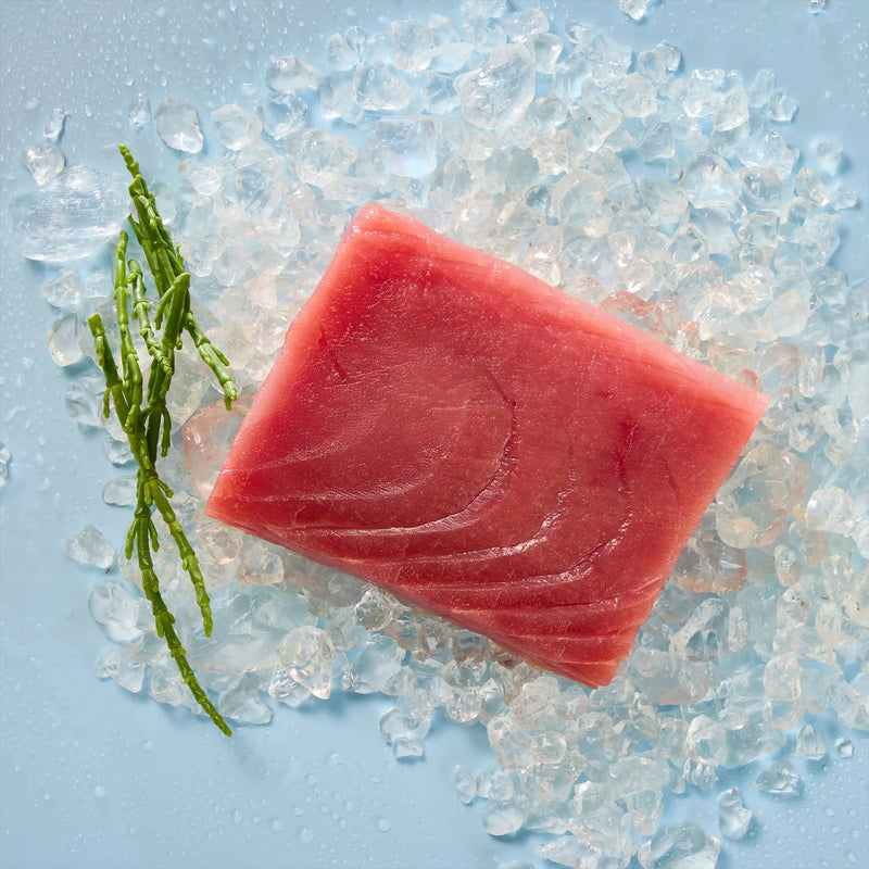 Thunfisch Saku Block: Gelbflossen-Thunfisch in Sashimi-Qualität
