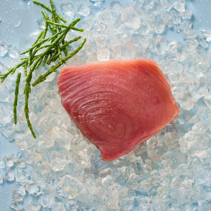Thunfisch Steak Duo (fangfrisch)