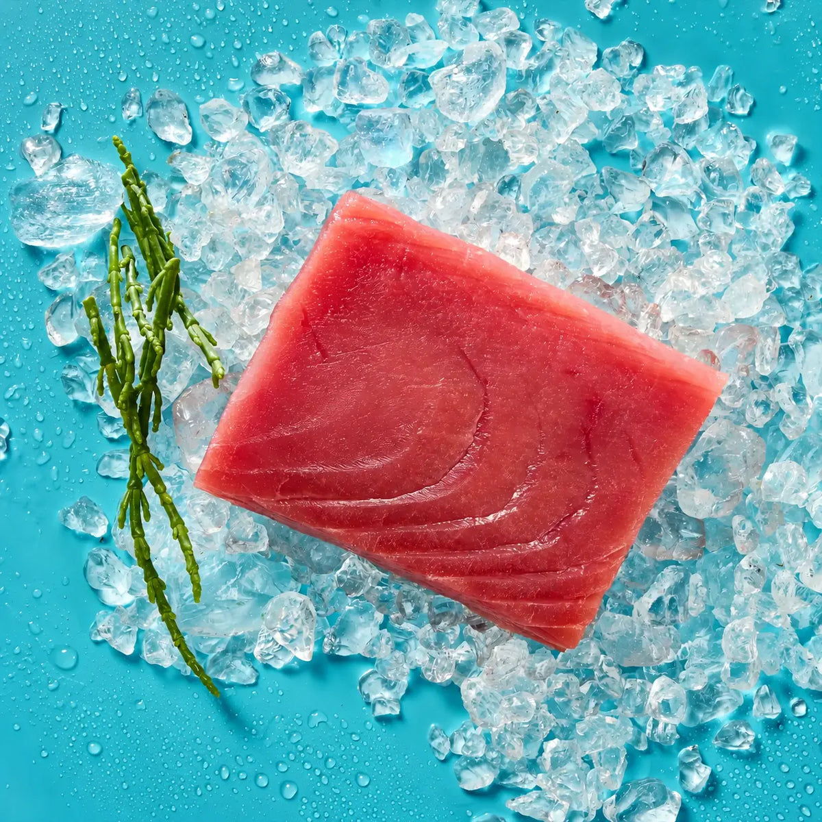 Thunfisch Saku Block (fangfrisch)