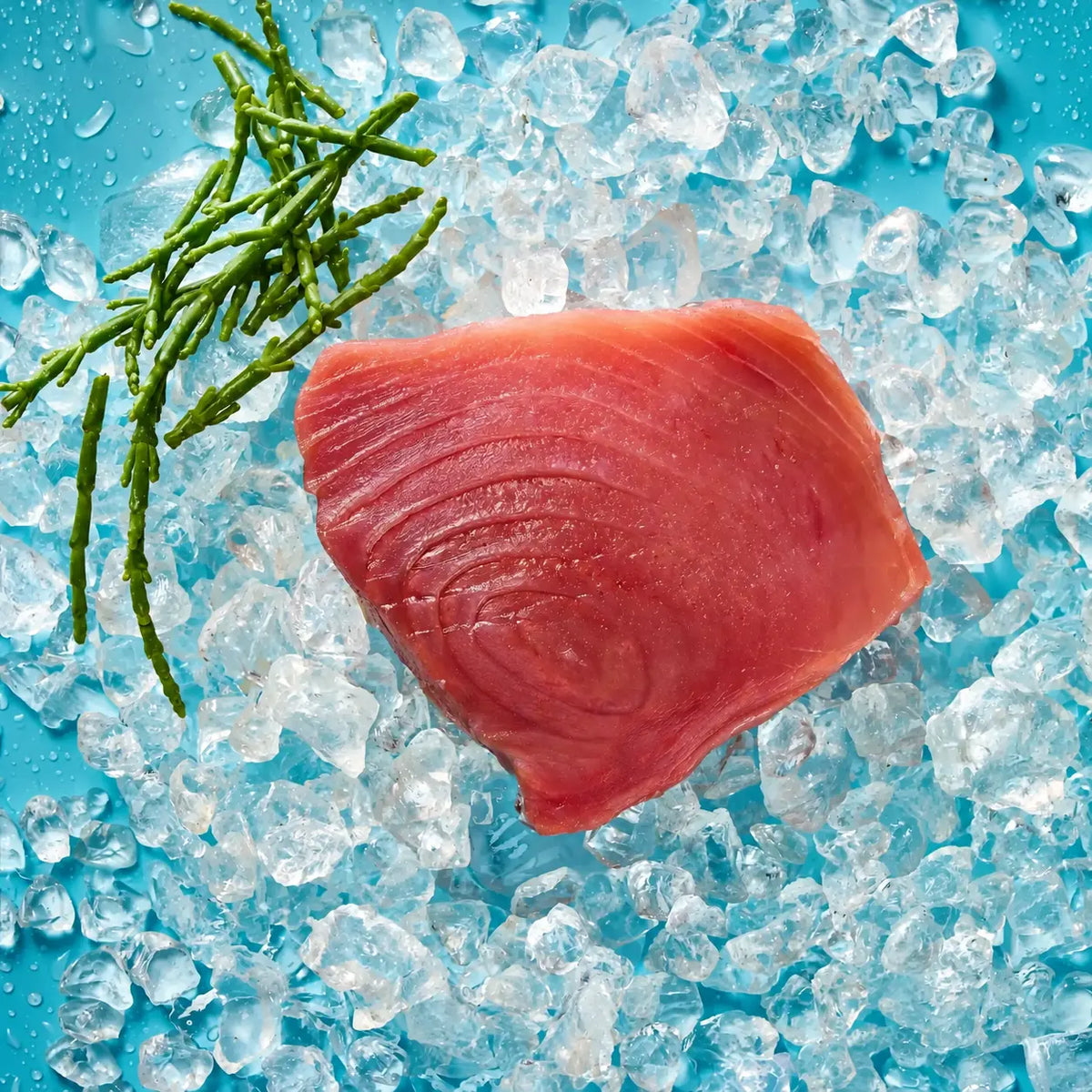 Thunfisch Steak Duo (fangfrisch)