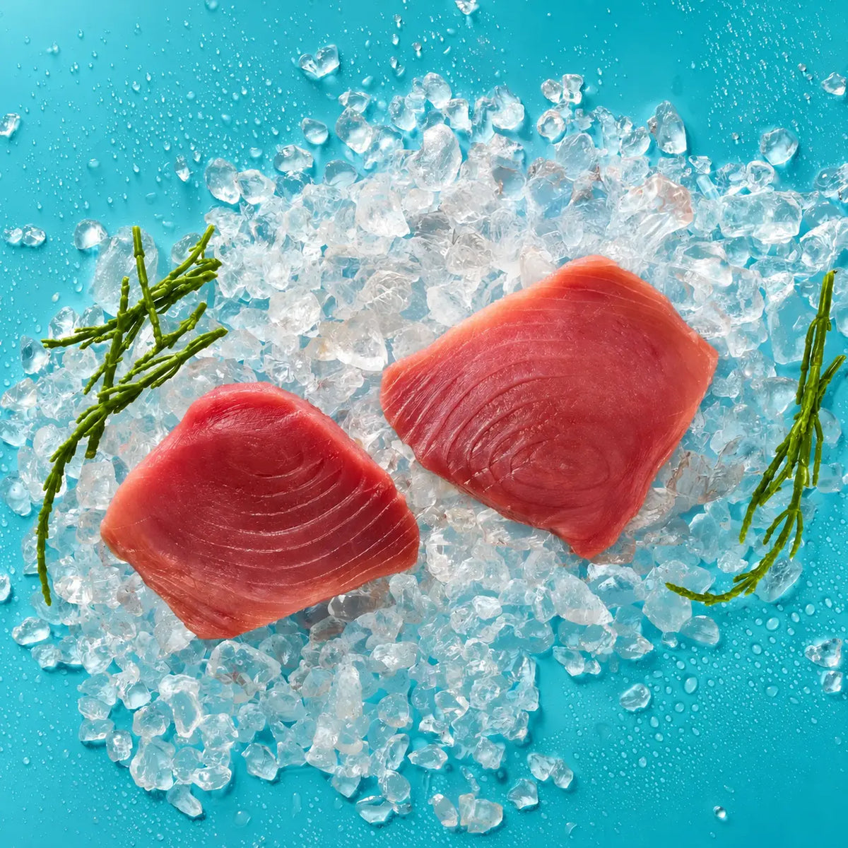 Thunfisch Steak Duo (fangfrisch)