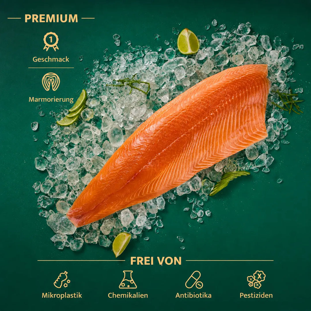 Premium BluFood Probierpaket
